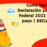 Como hacer tu Declaración patrimonial Federal 2022 | Paso a paso | DECLARANET