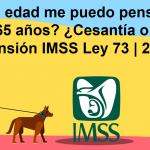 ¿A qué edad me puedo pensionar? ¿60 o 65 años? ¿Cesantía o vejez? | Pensión IMSS Ley 73 | 2022.