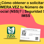 ¿Cómo obtener o solicitar POR PRIMERA VEZ tu Número de Seguro Social (NSS)? | Seguridad Social IMSS