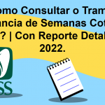 ¿Cómo Consultar o Tramitar Constancia de Semanas Cotizadas IMSS? | Con Reporte Detallado | 2022.