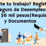 ¿Perdiste_tu_trabajo_Regístrate_al_Seguro_de_Desempleo_y_Recibe_$6_mil_pesos_Requisitos_y_Documentos